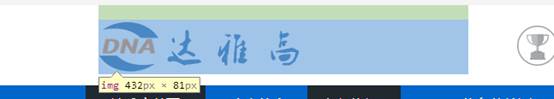 网站优化 网站优化